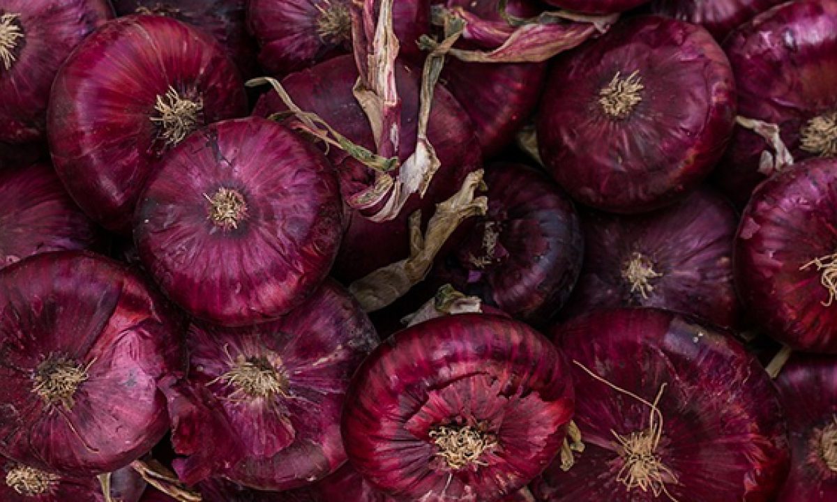 Dal Monte Amiata La Cipolla Toccasana Contro I Segni Del Tempo Studio Nutrizione La Malfa Dietologa Nutrizionista Firenze Nutrizione Sportiva Biologa Nutrizionista Dieta Vegetariana Dieta In Gravidanza Educazione Alimentare